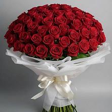 Букет 101 Красная роза Блэк Мэджик в Красногорском Удмуртская Республика