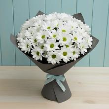 Букет цветов из:  Хризантемы в Красногорском Удмуртская Республика