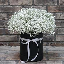 Цветочная композиция из Гипсофила в шляпной коробке в Красногорском Удмуртская Республика