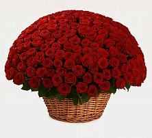 Премиум букет из: Розы в Красногорском Удмуртская Республика